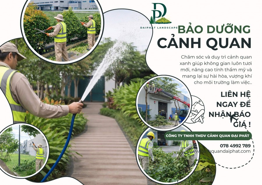 CHĂM SÓC CÂY XANH NHÀ MÁY – DOANH NGHIỆP KCN AMATA BIÊN HÒA