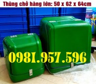 Thùng chở hàng loại lớn, thùng chở hàng lớn sau xe máy