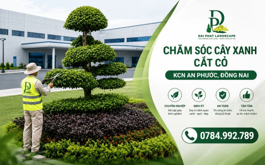CHĂM SÓC CÂY XANH – CẮT CỎ KCN AN PHƯỚC ĐỒNG NAI