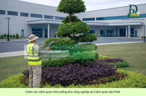 CHĂM SÓC CÂY XANH – CẮT CỎ KCN AN PHƯỚC ĐỒNG NAI