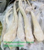 Mua Đuôi Trâu M57 Ở Đâu Giá Tốt, Uy Tín?