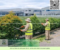 Chăm Sóc Cây Xanh Nhà Xưởng KCN Biên Hòa Đồng Nai