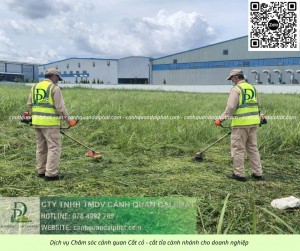 Dịch vụ cắt cỏ Tam Phước Đồng Nai uy tín