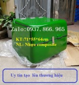 Thùng chở hàng nhựa com posite, thùng gắn sau xe máy, thùng chở hàng có mút giữ