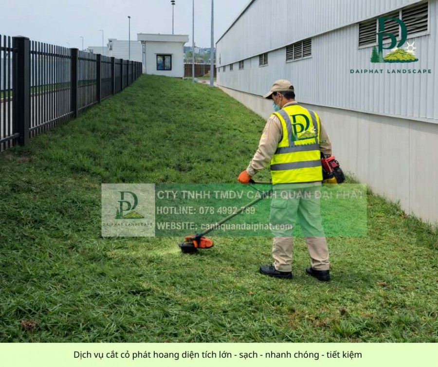 Dịch vụ cắt cỏ, chăm sóc cỏ cảnh quan kcn Nhơn Trạch Đồng Nai