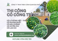 Dịch vụ trồng cỏ lá gừng – cỏ nhung Nhật tại Biên Hòa, Đồng Nai