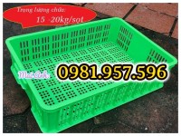 Thùng nhựa lỗ, thùng nhựa rỗng cao 15cm, thùng nhựa hở