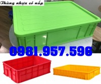 Thùng nhựa công nghiệp, thùng nhựa 1T, thùng nhựa 1T5