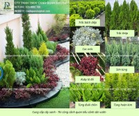 Thiết Kế Thi Công Tiểu Cảnh Sân Vườn Thảo Điền TP.HCM – Đẹp Hiện Đại, Đẳng Cấp