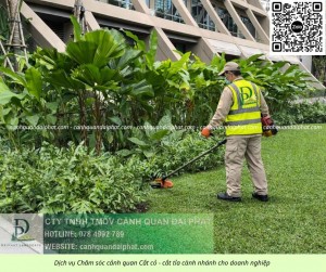 DỊCH VỤ CHĂM SÓC CÂY XANH TRỌN GÓI ĐỒNG NAI – CHUYÊN NGHIỆP, UY TÍN