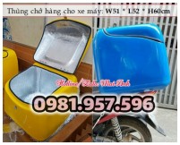 Thùng giao hàng dung tích 60L, thùng giao hàng dung tích 70L