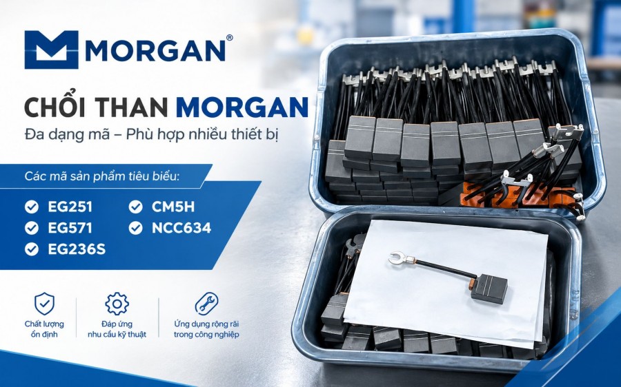 Cung cấp chổi than Morgan: EG251, EG571,EG236S,CM5H, NCC634