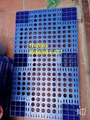 Pallet nhựa PL04LS hàng mới 100‰ chuyên kê hàng 0988 081327