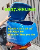 Thùng ship trà sữa, thùng giao pizza, thùng chở hàng sau xe máy, thùng chở hàng