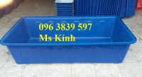 Thùng nhựa chữ nhật 1000l nuôi cá giá rẻ toàn quốc- lh 096 3839 597 Ms Kính