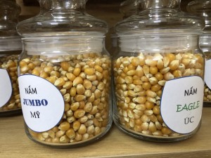 Bắp hạt nổ Mỹ (Nguyên liệu làm bắp rang bơ)
