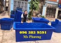 Chuyên cung cấp thùng nhựa nuôi cá, bể bơi 0963839591