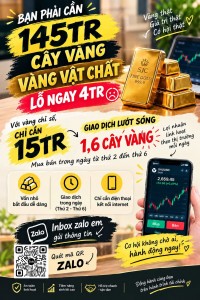 Dịch vụ hỗ trợ tư vấn về tài chính