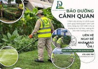 Dịch vụ chăm sóc cây xanh cắt cỏ cảnh quan nhà xưởng Đồng Nai chuyên nghiệp