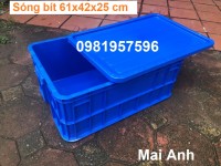 Sóng bít cao 25 cm, loại thùng nhựa có nắp, thùng nhựa loại 1 dày dặn