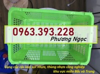 Sóng nhựa hở HS011 có quai sắt, sọt rỗng quai sắt đựng trái cây, sọt thanh long