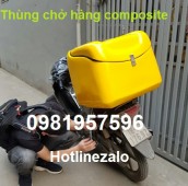 Thùng chở sau xe máy, Thùng chở hàng composite giá rẻ tại Hà Nội