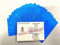 Đào tạo chứng chỉ ĐẠI LÝ TÀU BIỂN - Đại Lý Viên (có lớp online)