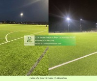 Dịch vụ chăm sóc thảm cỏ sân bóng tại TP.HCM, Đồng Nai