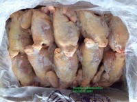 ???? Gà Nguyên Con Đông Lạnh – Giải Pháp Cho Món Ngon Nhanh Gọn