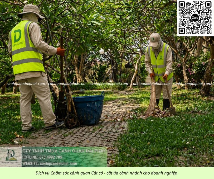 Dịch Vụ Chăm Sóc Cây Xanh – Cắt Cỏ Nhà Máy KCN Long Thành Đồng Nai