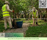 Dịch Vụ Chăm Sóc Cây Xanh – Cắt Cỏ Nhà Máy KCN Long Thành Đồng Nai
