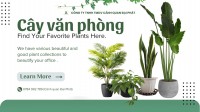 Dịch Vụ Chăm Sóc Cây Xanh Văn Phòng – Tòa Nhà Tại Đồng Nai