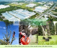 Dịch vụ cắt cỏ dọn dẹp vệ sinh cảnh quan KCN Amata Đồng Nai