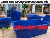 Thùng nuôi cá ngoài trời, thùng nuôi hải sản, thùng nuôi lươn