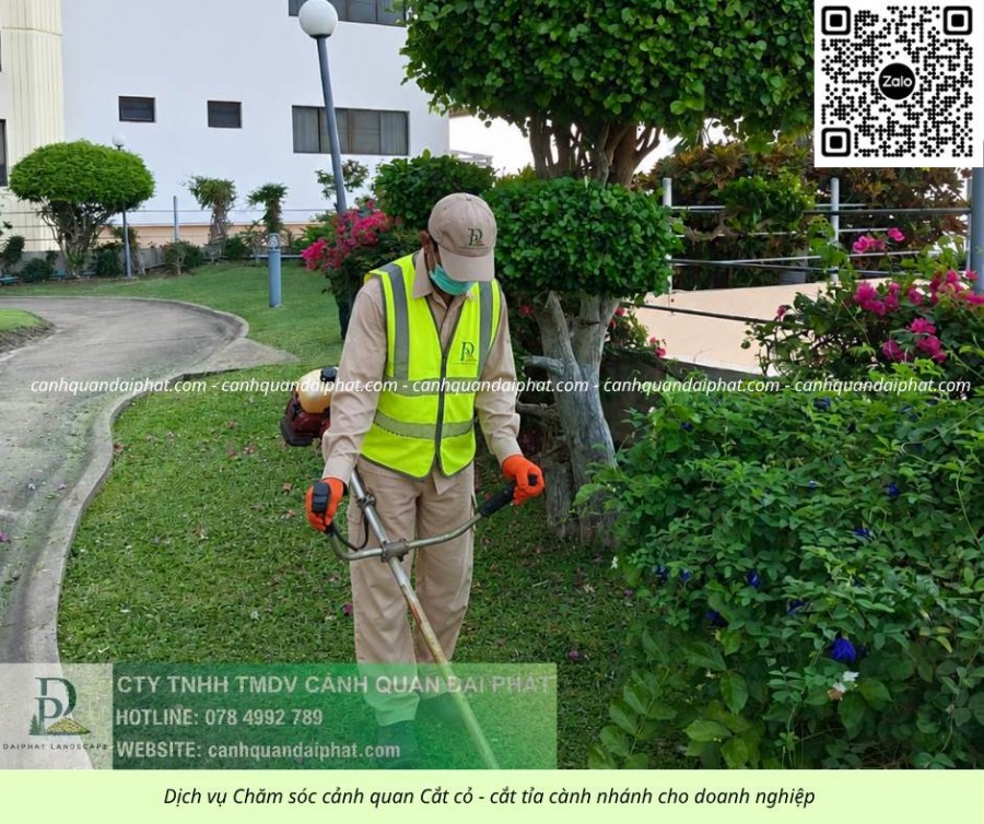 DỊCH VỤ CẮT CỎ – VỆ SINH CẢNH QUAN TẠI ĐỒNG NAI
