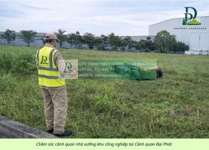 DỊCH VỤ CẮT CỎ, CƯA CÂY KCN MỸ XUÂN – BÀ RỊA VŨNG TÀU