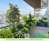Thi công chậu Composite sân vườn giá rẻ tại TP.HCM trọn gói cây cảnh