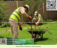 CÔNG TY CÂY XANH UY TÍN LONG THÀNH ĐỒNG NAI
