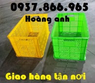 Giá sọt nhựa có bánh xe, sọt nhựa đẩy hàng, sọt nhựa công nghiệp tại hà nội