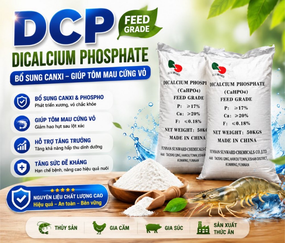 DCP (Dicalcium Phosphate) – Bổ Sung Canxi Giúp Tôm Mau Cứng Vỏ, Tăng Trưởng Hiệu Quả