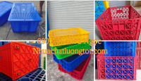 Sóng nhựa đặc đựng chén dĩa, sóng nhựa hở đựng thực phẩm, sóng đặc đựng cá