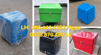 Thùng chở hàng giữ nhiệt,thùng giao hàng màu đỏ cỡ tiểu,thùng ship dụng cụ y tế