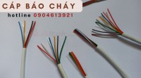 Cáp tín hiệu báo cháy/ tín hiệu chống nhiễu 0.22mm