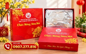 Giàn 100 Viên Pháo Hoa BQP Z121 – Mẫu Quà Tặng Nổi Bật ảnh 2