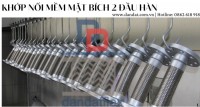 Khớp nối mềm chống rung mặt bích, khớp chống rung inox