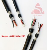 Cáp tín hiệu RS485 18AWG 2Pair chống nhiễu hãng Altek Kabel