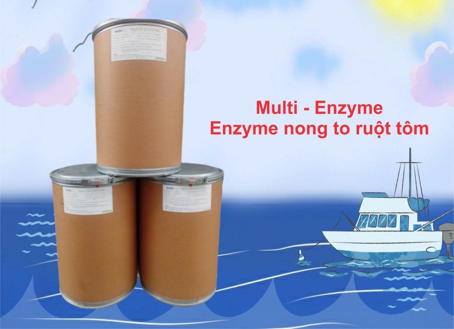 Multi enzyme - Nong to ruột tôm, xử lý nước ao nuôi tôm cá-image-3