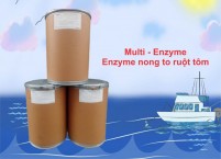 Multi enzyme - Nong to ruột tôm, xử lý nước ao nuôi tôm cá
