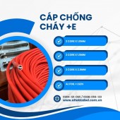 Cáp chống cháy chống nhiễu 2c x 1.0mm/1.5mm/2.5mm + E