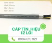 Cáp điều khiển, cáp tín hiệu 12 lõi 12x0.5,12x0.75,12x1.0,12x1.5mm